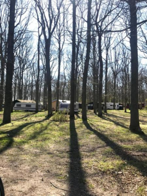 CAMPER STELLPLATZ für dein Camper oder WoMo DIREKT am STRAND, Dranske